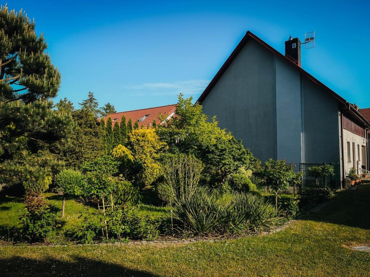 Pokoje Na Orzeszkowej Kamien Pomorski Exterior photo
